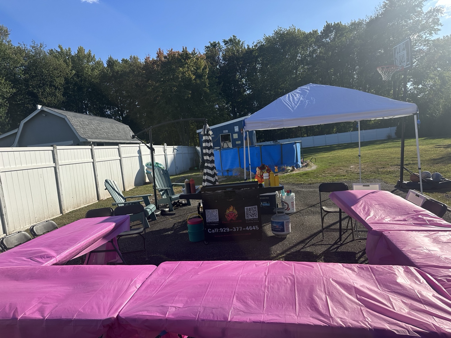 Mount Pleasant Pink Birthday Hibachi: Decor, Food and Party Costs